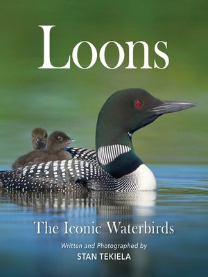 cover image of Loons